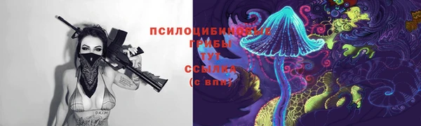 СК Алзамай