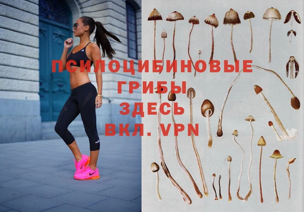 мяу мяу мука Алексеевка